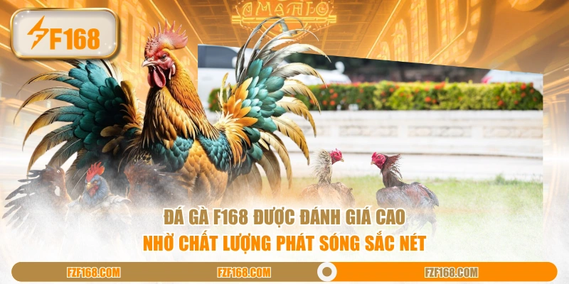 Đá Gà F168 được đánh giá cao nhờ chất lượng phát sóng sắc nét