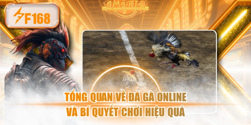 Tổng Quan Về Đá Gà Online Và Bí Quyết Chơi Hiệu Quả